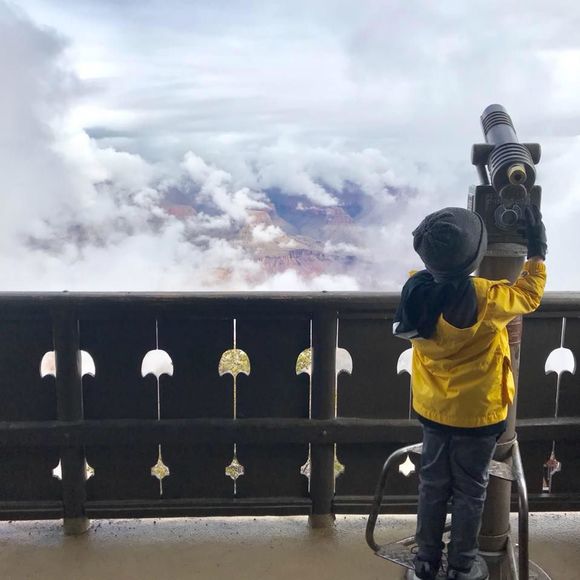 Meet your Posher, Charity - Picture 1 of 1